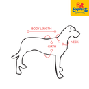 EzyDog Double Up Dog Collar Medium Denim