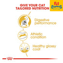 Royal Canin Feline Breed Nutrition Adult Bengal Dry Cat Food 2kg