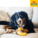 Zippy Paws Burrow Monkey and Banana Plush Dog Toy