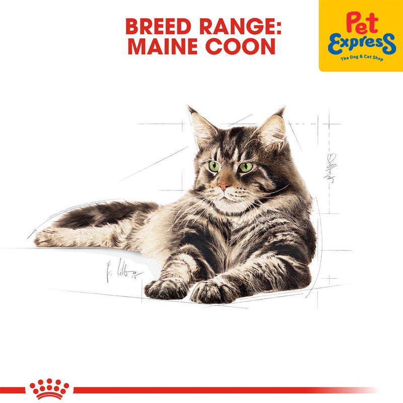 Royal Canin Feline Breed Nutrition Adult Maine Coon Dry Cat Food 2kg
