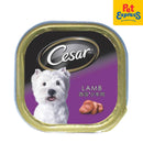 Cesar Adult Lamb Wet Dog Food 100g (12 pcs)