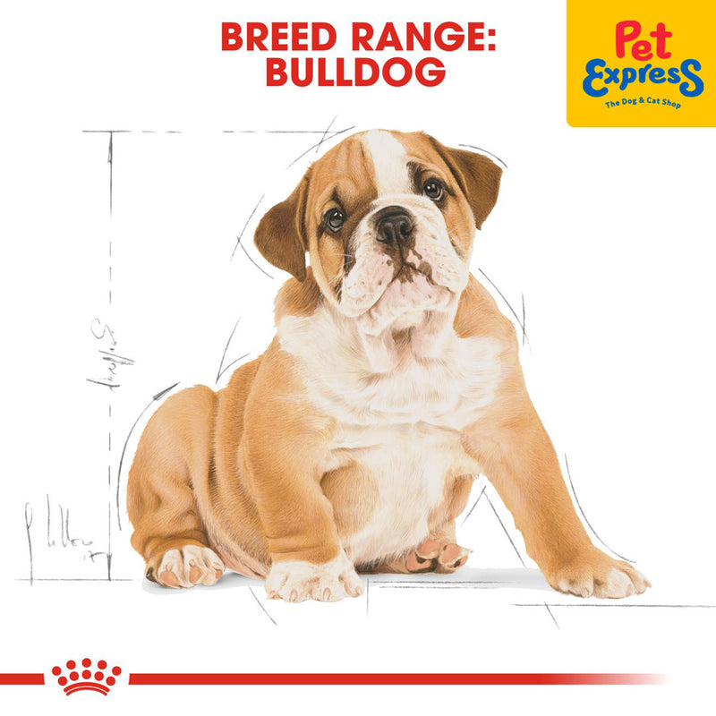Royal Canin Breed Health Nutrition Puppy Bulldog Dry Dog Food 3kg