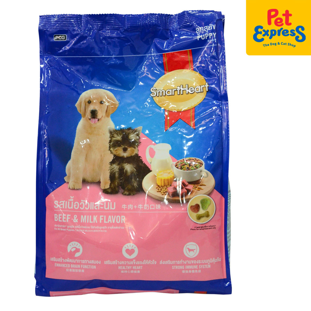 Pet Store Pet Express Puppies Buy And Send Pet Express Gift