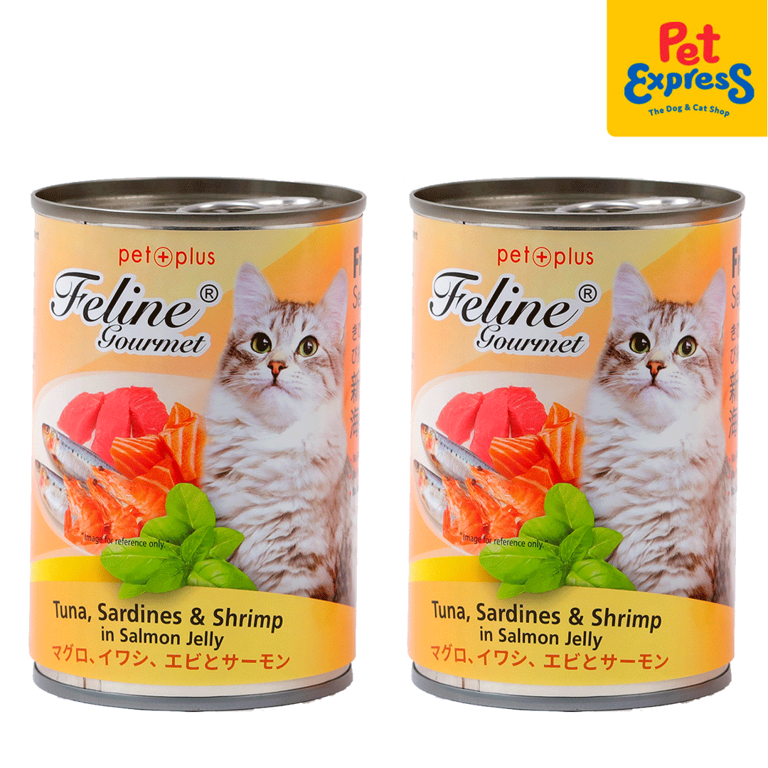 Is canned sardines clearance good for cats