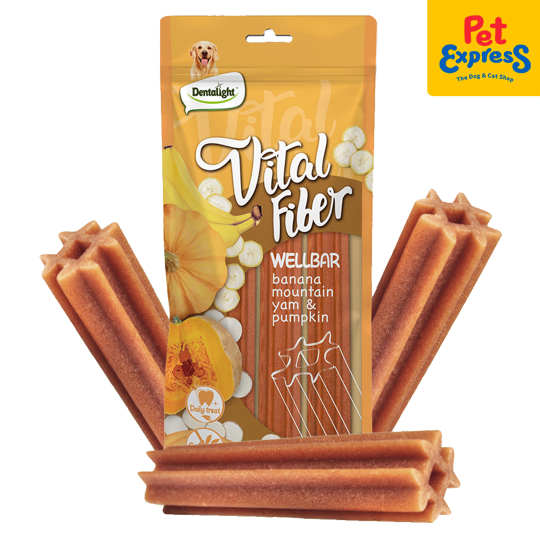 Dentalight Vital Fiber Grain Free Wellbar Stick Banana, Mountain Yam