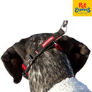 EzyDog Checkmate Dog Collar Large Camouflage