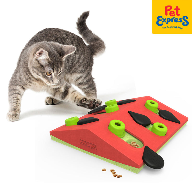 Nina Ottosson Stages Melon Madness Puzzle and Play Level 2 Cat Toy