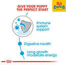 Royal Canin Size Health Nutrition Puppy Maxi Wet Dog Food 140g (10 pouches)