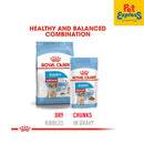 Royal Canin Size Health Nutrition Puppy Medium Wet Dog Food 140g (10 pouches)