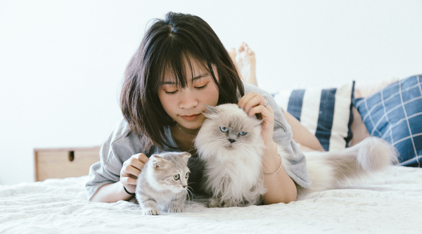 Woman playing with her cats