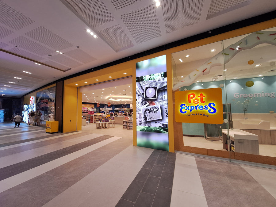 SM City La Union