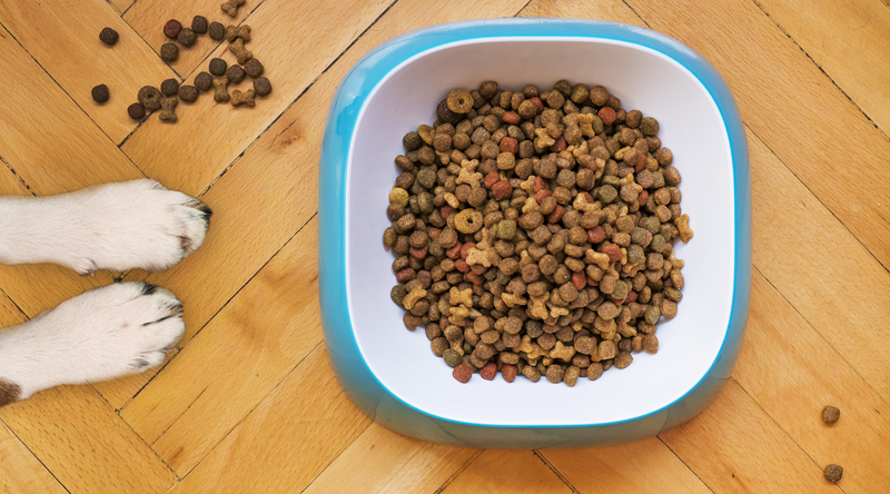 Healthy pet dog food hot sale