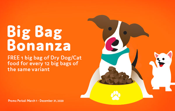 Pet Express Big Bag Bonanza 2020