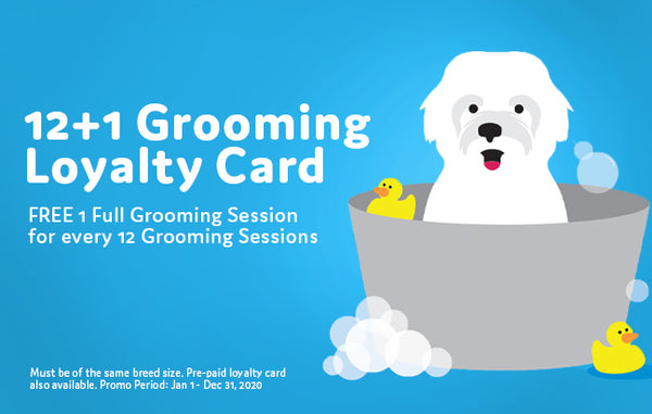 Pet Express Prepaid Grooming Promo