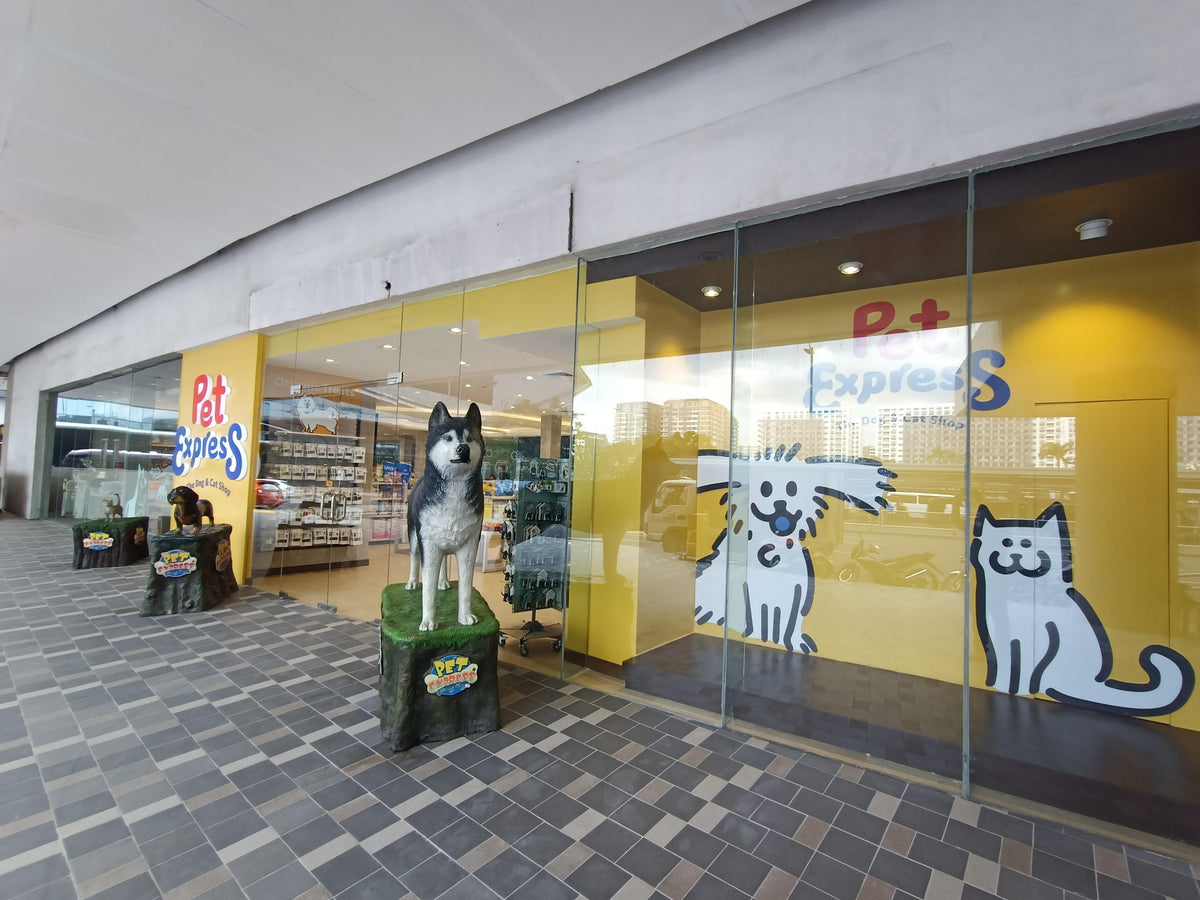 Top mall pet shop Top Sale