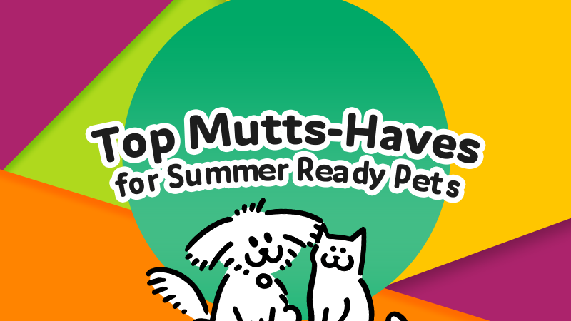 Top Mutts-Haves for Summer-Ready Pets