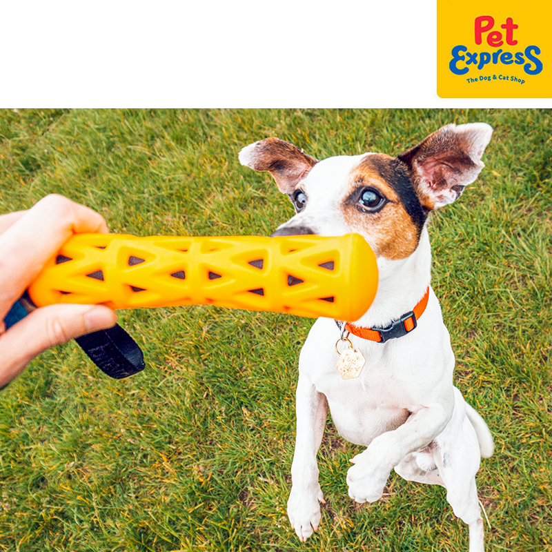 [FOR PRE-ORDER] Bite Me Crack Me Up - Stick Dog Toy Small Orange