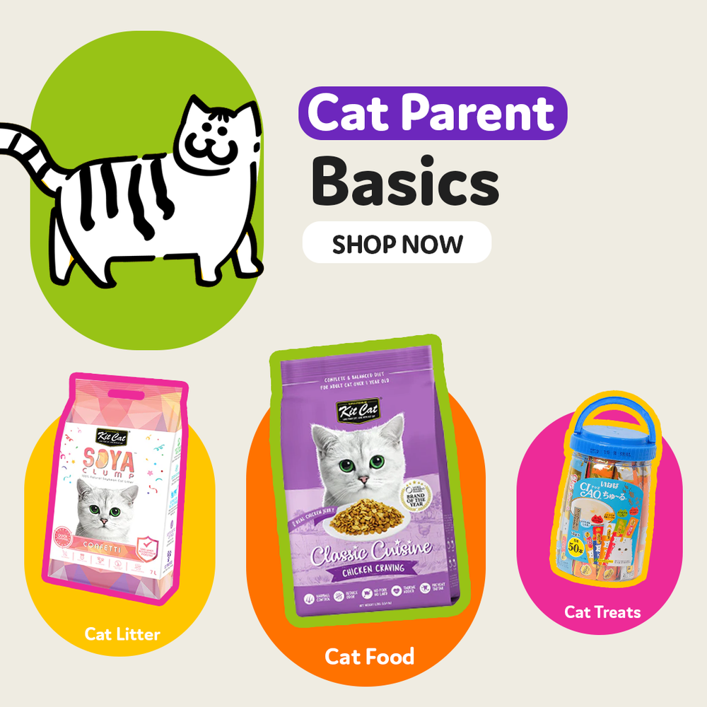Cartimar pet shop cat price 2019 hot sale