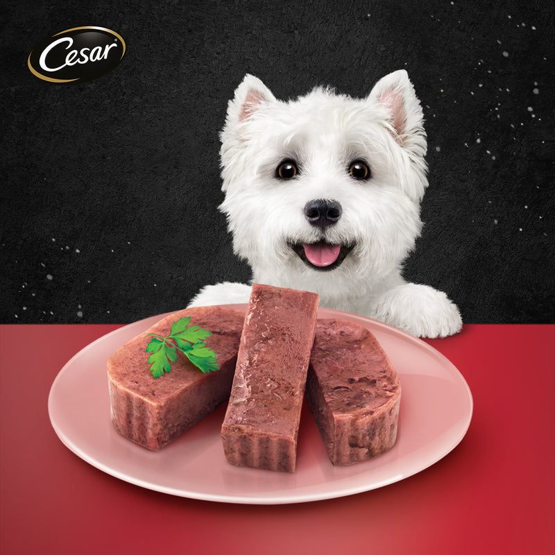 Cesar Adult Beef and Liver Wet Dog Food 100g (12 pcs)