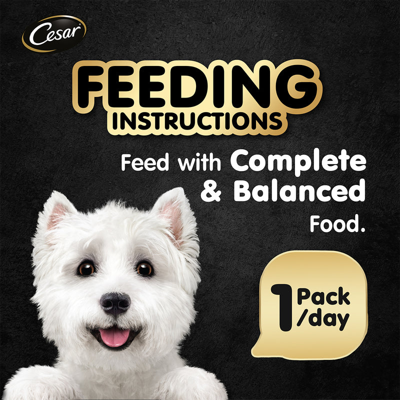 Cesar Adult Beef and Liver Wet Dog Food 100g (12 pcs)