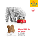 Royal Canin Size Health Nutrition Adult Mini Dry Dog Food 2kg