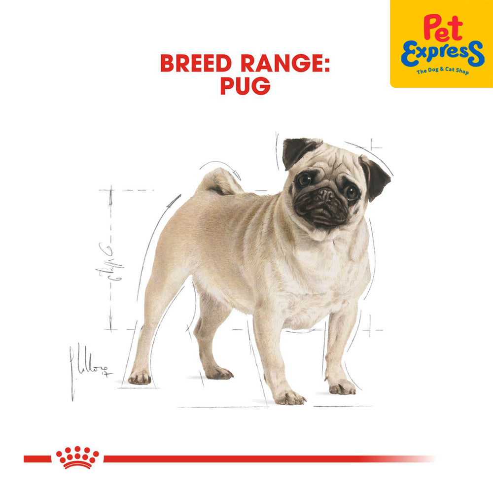 Pets at home royal canin pug hot sale
