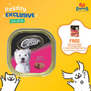Cesar Adult Beef Wet Dog Food 100g (12 pcs)