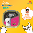 Cesar Adult Beef Wet Dog Food 100g (12 pcs)