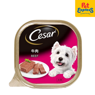 Cesar Adult Beef Wet Dog Food 100g (12 pcs)