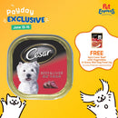 Cesar Adult Beef and Liver Wet Dog Food 100g (12 pcs)