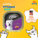 Cesar Adult Lamb Wet Dog Food 100g (12 pcs)