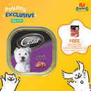 Cesar Adult Lamb Wet Dog Food 100g (12 pcs)