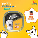 Cesar Adult Chicken Wet Dog Food 100g (12 pcs)