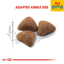 Royal Canin Feline Health Nutrition Adult Indoor 27 Dry Cat Food 2kg