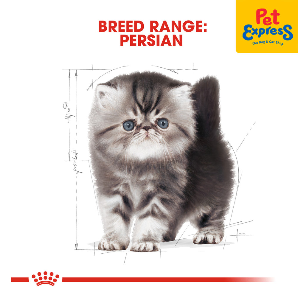 Royal Canin Feline Breed Kittten Persian Dry Cat Food 2kg Pet