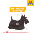 Royal Canin Canine Care Nutrition Adult Mini Dermacomfort Dry Dog Food 8kg