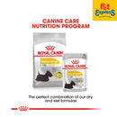 Royal Canin Canine Care Nutrition Adult Mini Dermacomfort Dry Dog Food 8kg