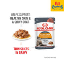 Royal Canin Feline Care Nutrition Adult Hair and Skin Wet Cat Food 85g (12 pouches)
