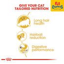 Royal Canin Feline Breed Nutrition Adult Persian Dry Cat Food 10kg