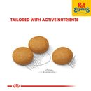 Royal Canin Canine Care Nutrition Adult Maxi Dermacomfort Dry Dog Food 3kg