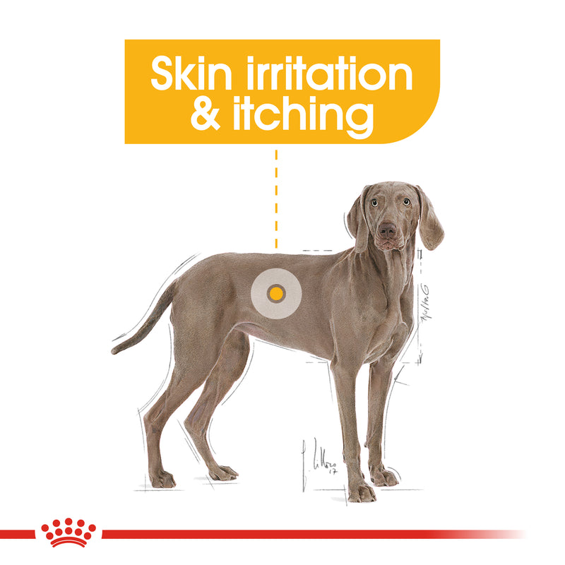 Royal Canin Canine Care Nutrition Adult Maxi Dermacomfort Dry Dog Food 3kg