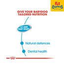 Royal Canin Size Health Nutrition Starter Mousse Mother and Babydog Wet Dog Food 195g (12 cans)