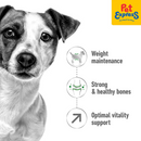 Royal Canin Size Health Nutrition Mature 8+ Mini Dry Dog Food 2kg