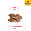 Royal Canin Size Health Nutrition Mature 8+ Mini Dry Dog Food 2kg