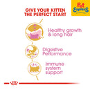 Royal Canin Feline Breed Nutrition Kitten Persian Dry Cat Food 10kg