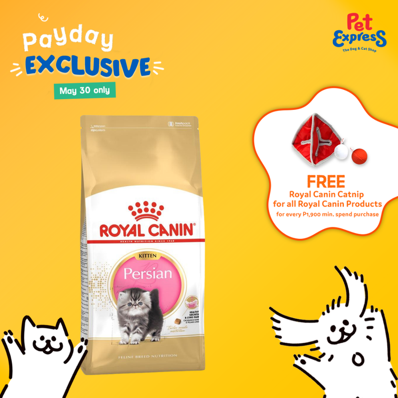 Royal Canin Feline Persian Kitten Dry Cat Food 10kg