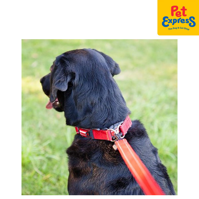 EzyDog Double Up Dog Collar Large Black