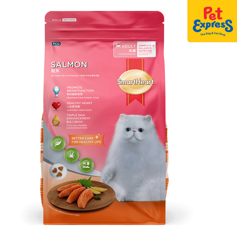 Is salmon cat food good for cats hot sale