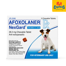 NexGard Chewable Tablet for Medium Breed Dogs >4-10kg / 10-24lbs (3 tablets)