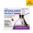 NexGard Chewable Tablet for Large Breed Dogs >10-25kg / 24-60lbs (3 tablets)